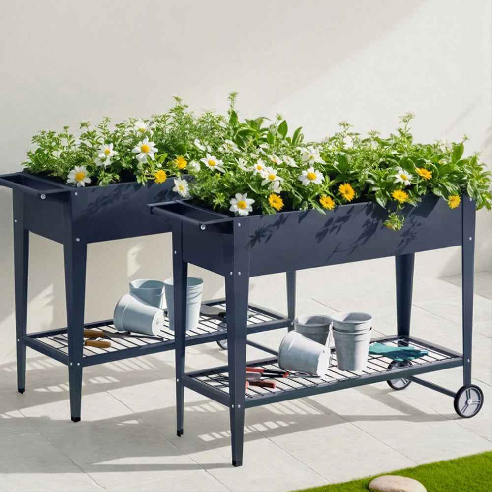 Pair of raised garden beds with wire mesh shelves filled with flowers and seedlings