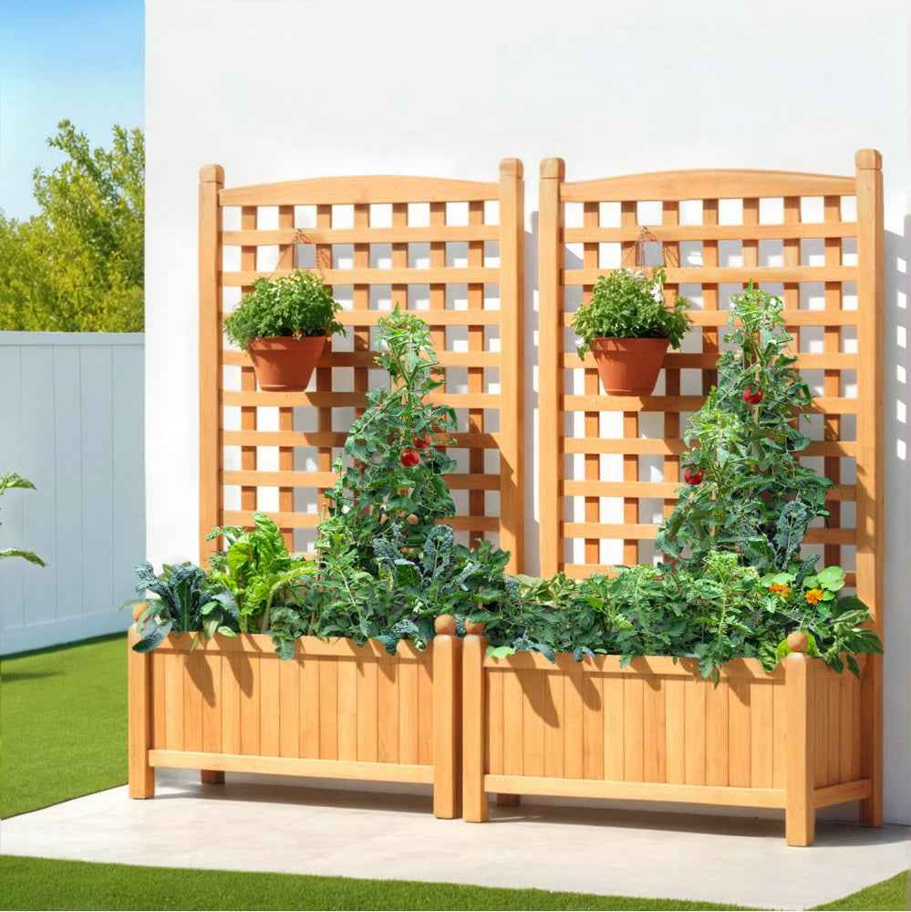 Wooden raised garden bed planter with twin trellis panels and flower pots