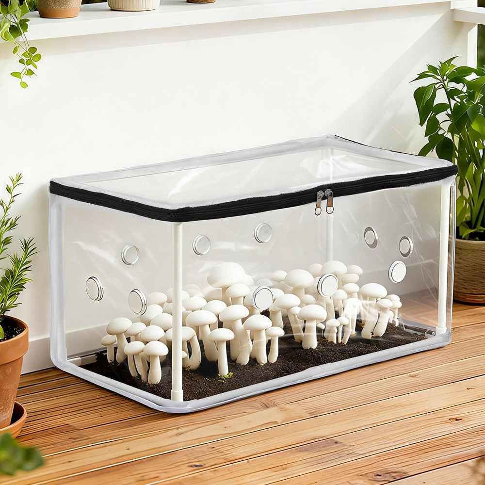 Mini transparent PVC greenhouse with black zip cover and round ventilation holes, rectangular