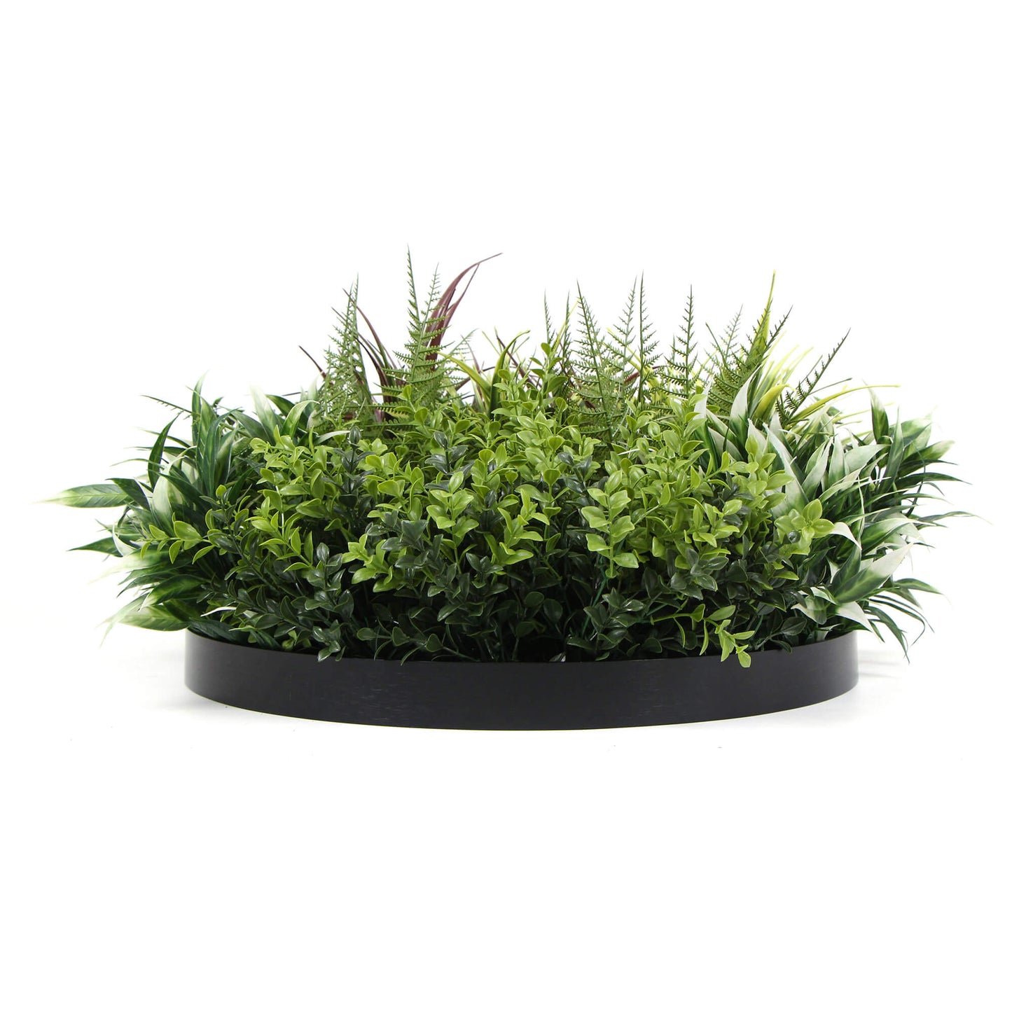 Slimline Artificial Green Wall Disc Art 50cm Green Field UV Resistant (Black)