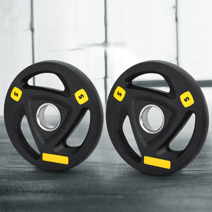 Everfit Weight Plates Olympic 5kgx2 Dumbbells Barbells Plate Weight Lifting Home