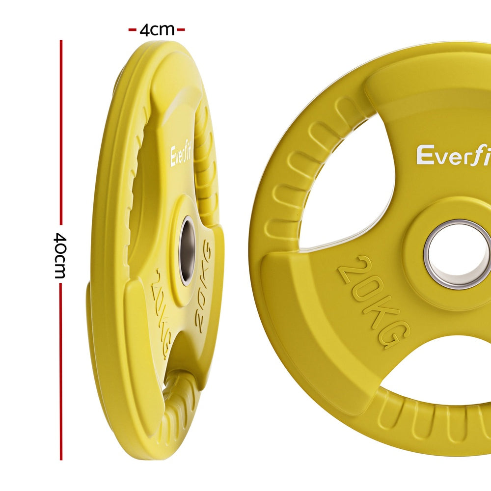 Everfit Weight Plates Olympic 20kgx2 Dumbbell Barbell Plate Weight Lifting Home Gym Yellow