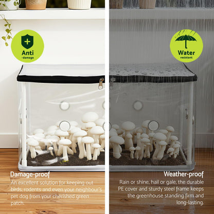 Green Fingers Mini Greenhouse 50x25x25cm PVC Cover for Mushrooms Succulents