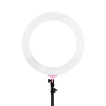 Embellir Ring Light 19inches Tripod Stand Pink