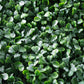 Portable Boxwood Hedge UV Stabilised 75cm High 100cm Long