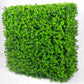 Portable Buxus Hedge UV Stabilised 75cm X 75cm