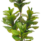 Artificial Fiddle Fig 135cm