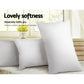 Giselle Bedding Set of 2 Goose Feather and Down Pillow - White