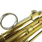 Bb Trumpet Phosphorus Copper Student Intermediate