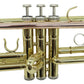 Bb Trumpet Phosphorus Copper Student Intermediate