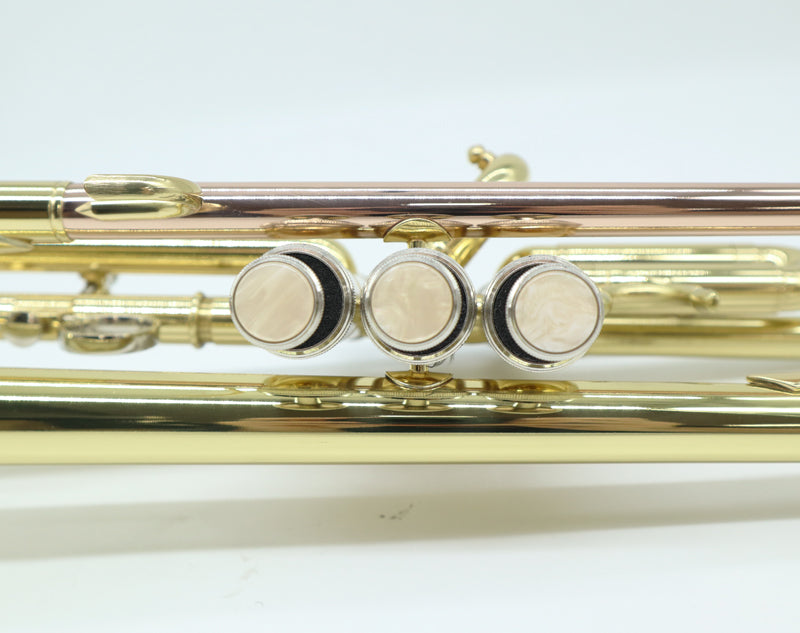 Bb Trumpet Phosphorus Copper Student Intermediate