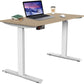 Sardine Sport Electric Standing Desk, 100KG Motorised Height Adjustable Computer Desk, Sit Stand Desk, Home Office (120 x 60 cm / 47.2 x 23.6 inch)