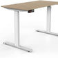 Sardine Sport Electric Standing Desk, 100KG Motorised Height Adjustable Computer Desk, Sit Stand Desk, Home Office (120 x 60 cm / 47.2 x 23.6 inch)