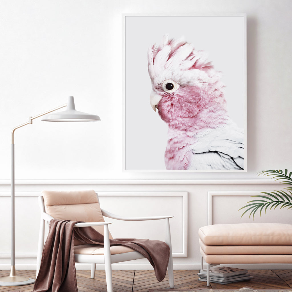 60cmx90cm Pink Galah White Frame Canvas Wall Art