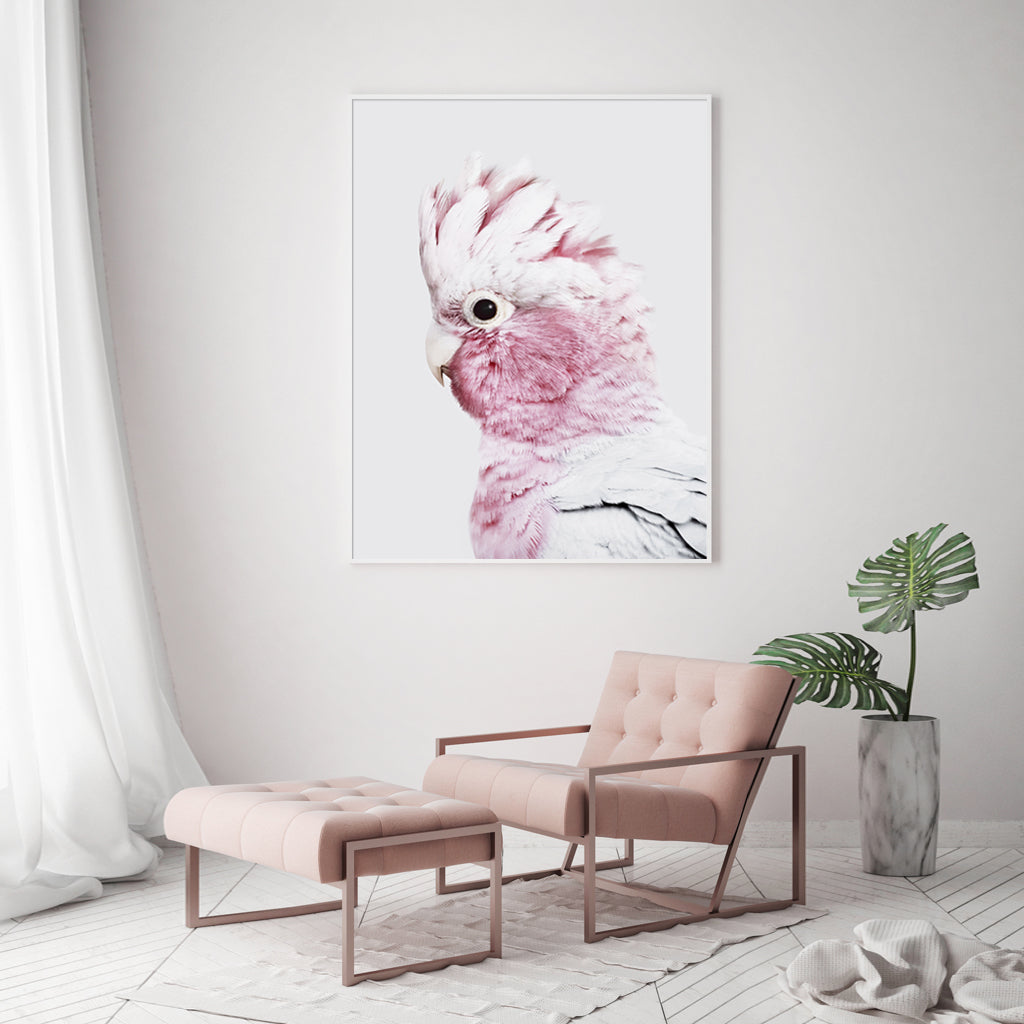 60cmx90cm Pink Galah White Frame Canvas Wall Art