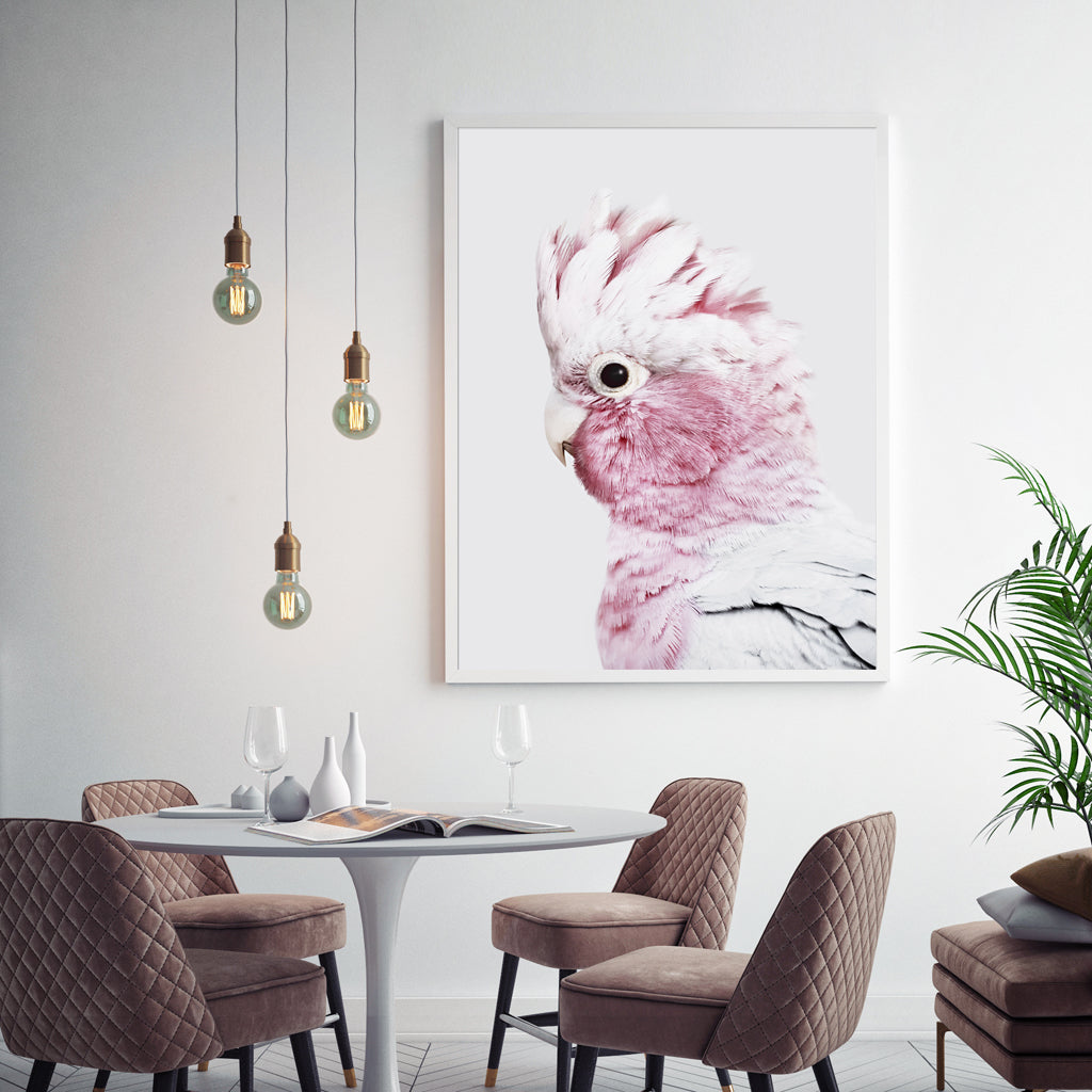 70cmx100cm Pink Galah White Frame Canvas Wall Art