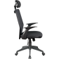 Ergonomic Mesh Office Chair
