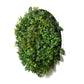Slimline Artificial Green Wall Disc Art 80cm Mixed Green Fern & Ivy (White)