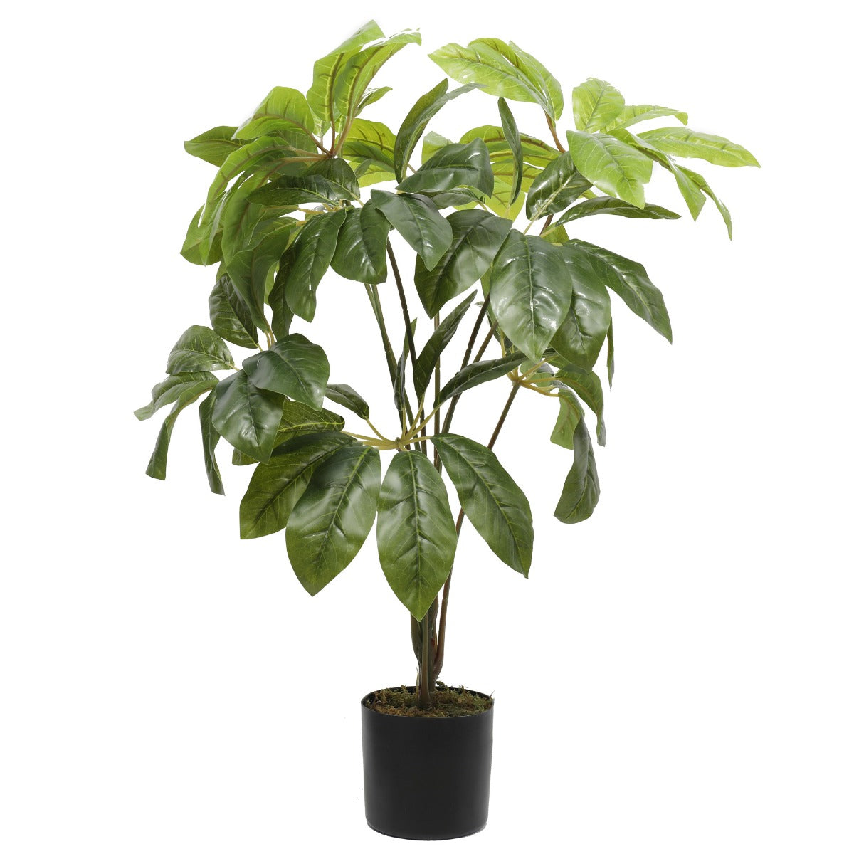 Potted Artificial Umbrella Tree 65cm