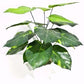 Lily Stem 32cm
